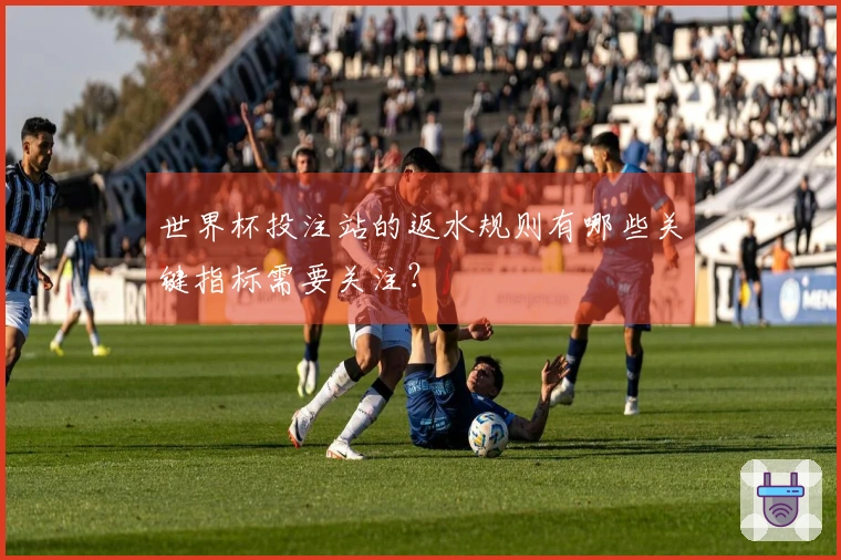 世界杯投注站的返水规则有哪些关键指标需要关注？