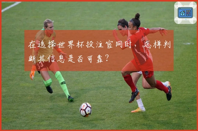 在选择世界杯投注官网时，怎样判断其信息是否可靠？