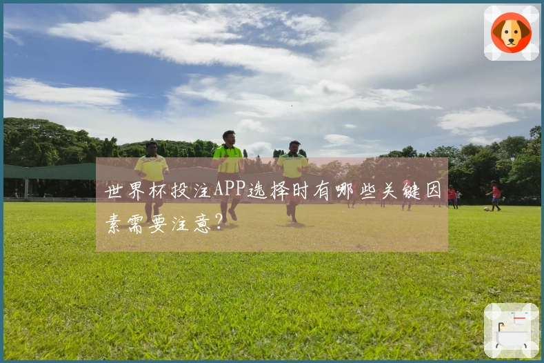 世界杯投注APP选择时有哪些关键因素需要注意？